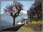 foto Lago di Como